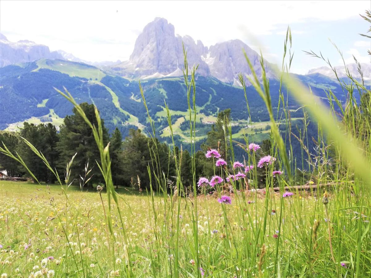 Hotel Oswald Selva di Val Gardena Zewnętrze zdjęcie